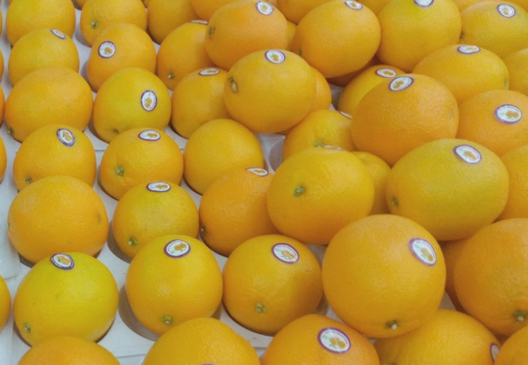 万安县富硒农业产业协会关于批准发布《富硒脐橙质量分级》等2项团体标准的公告