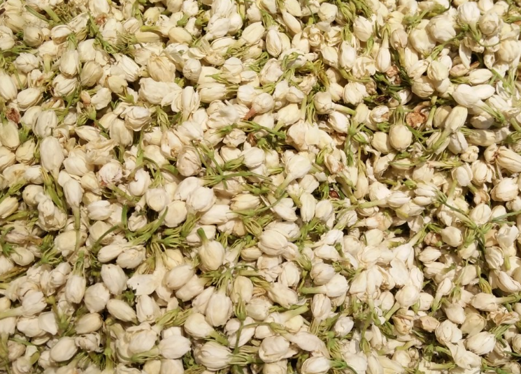 福州市人民政府印發(fā)關(guān)于支持福州茉莉花茶產(chǎn)業(yè)發(fā)展六條措施的通知 榕政規(guī)〔2026〕2號