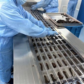 320地黄全自动拉伸膜包装机 自动黄精包装设备