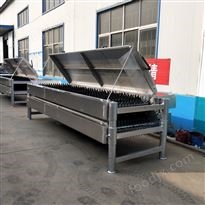 鸭子脱毛机 34轴卧式