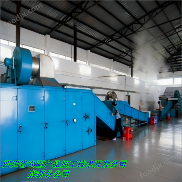 小型筍干烘干機 食品干燥設備