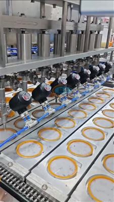 自动化给料灌浆封口一体机 智能自动化加工