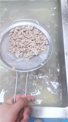 温州瘦肉丸瘦肉羹自动成型机