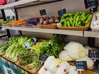 政銀保企攜手  助力界首市蔬菜產(chǎn)業(yè)高質(zhì)量發(fā)展