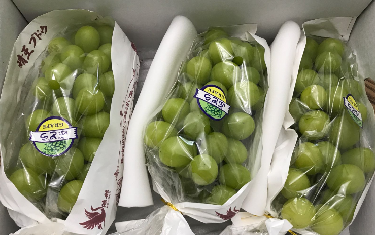 深圳市农业产业化龙头企业协会关于《农产品质量分级 巨峰葡萄生产技术规程》等3项团体标准立项公告