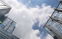 柳南区畜牧屠宰加工产业集聚成势，全链条高质量发展跑出“加速度”