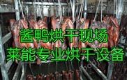 萊能醬鴨烘干機 低溫冷風干燥 質(zhì)保一年 免費上門試驗