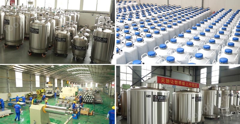 液氮儲(chǔ)罐供應(yīng) 天馳 便攜式液氮容器yds10