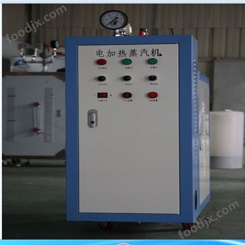 电蒸汽发生器2