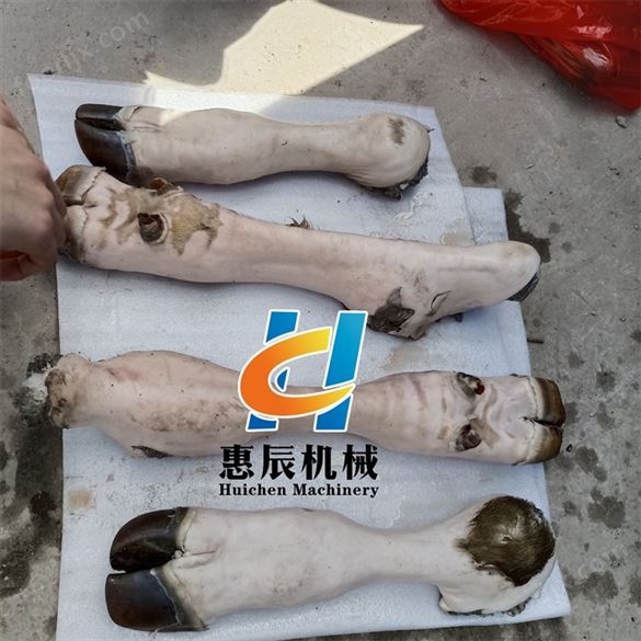 羊蹄羊頭牛蹄牛頭牛皮脫毛機(jī)洗牛肚乳豬脫