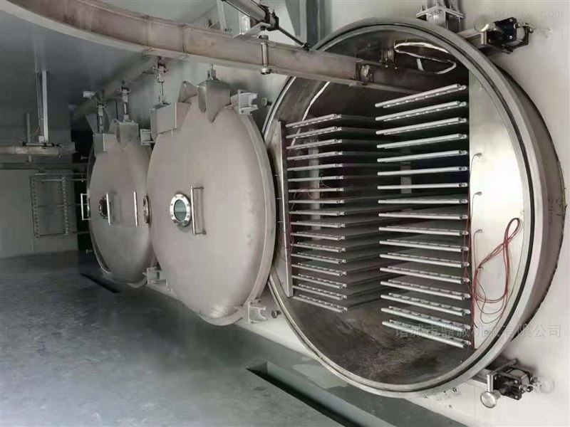 苹果冷冻干燥机