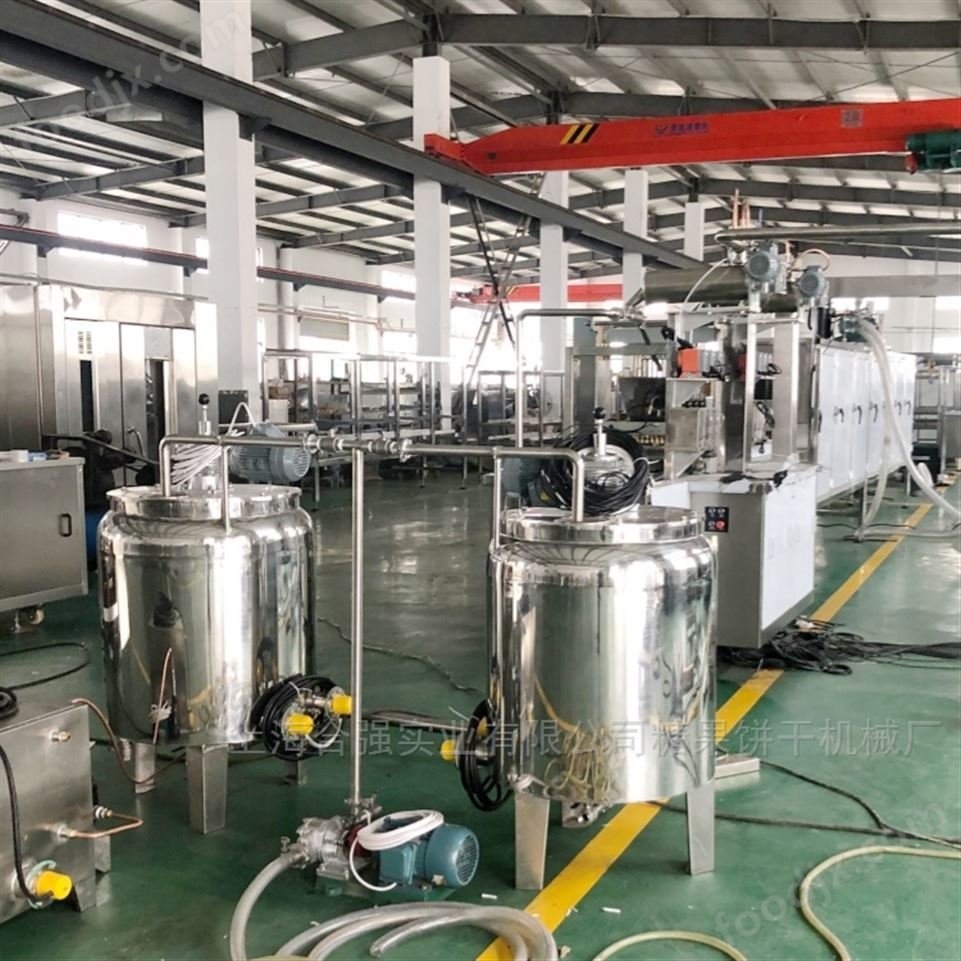 糖果澆注生產(chǎn)線機(jī)器視頻