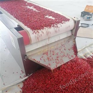 辣椒粉 辣椒段微波滅菌設備