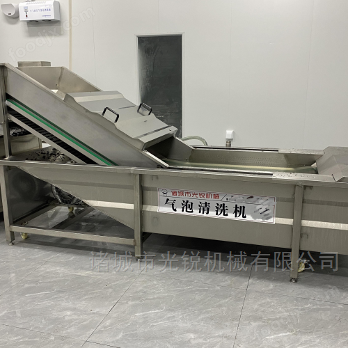 大姜蔬菜清洗機(jī)
